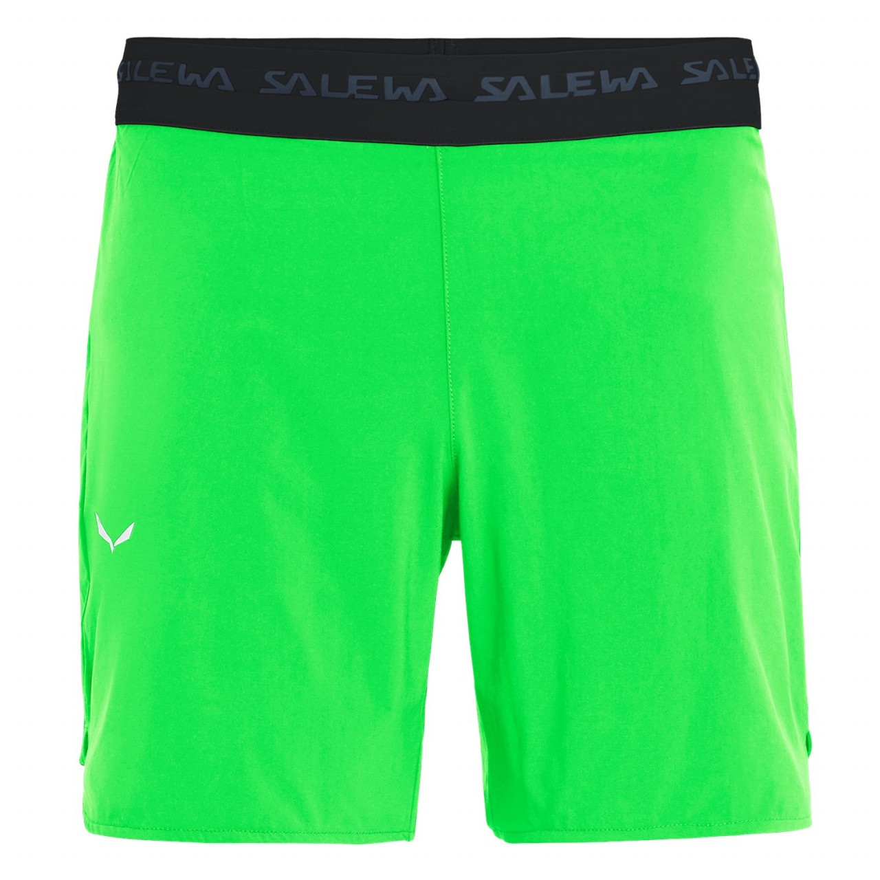 Salewa Men's Pedroc 2 Durastretch Shorts Green GVJ-037461